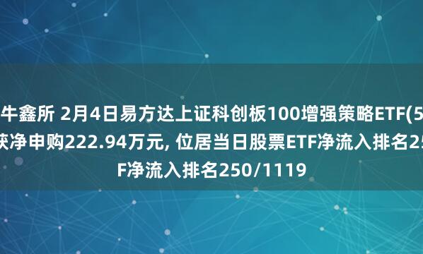牛鑫所 2月4日易方达上证科创板100增强策略ETF(588500)获净申购222.94万元, 位居当日股票ETF净流入排名250/1119