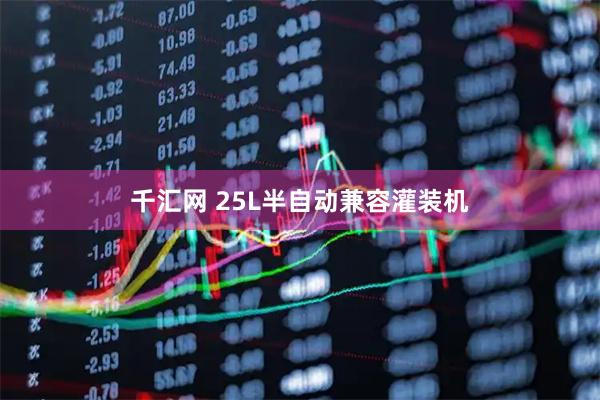 千汇网 25L半自动兼容灌装机