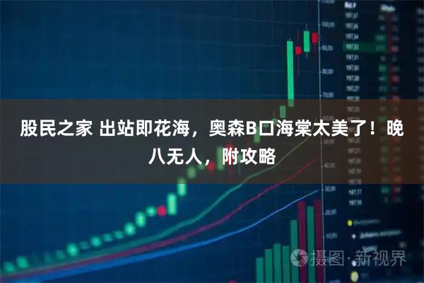 股民之家 出站即花海，奥森B口海棠太美了！晚八无人，附攻略